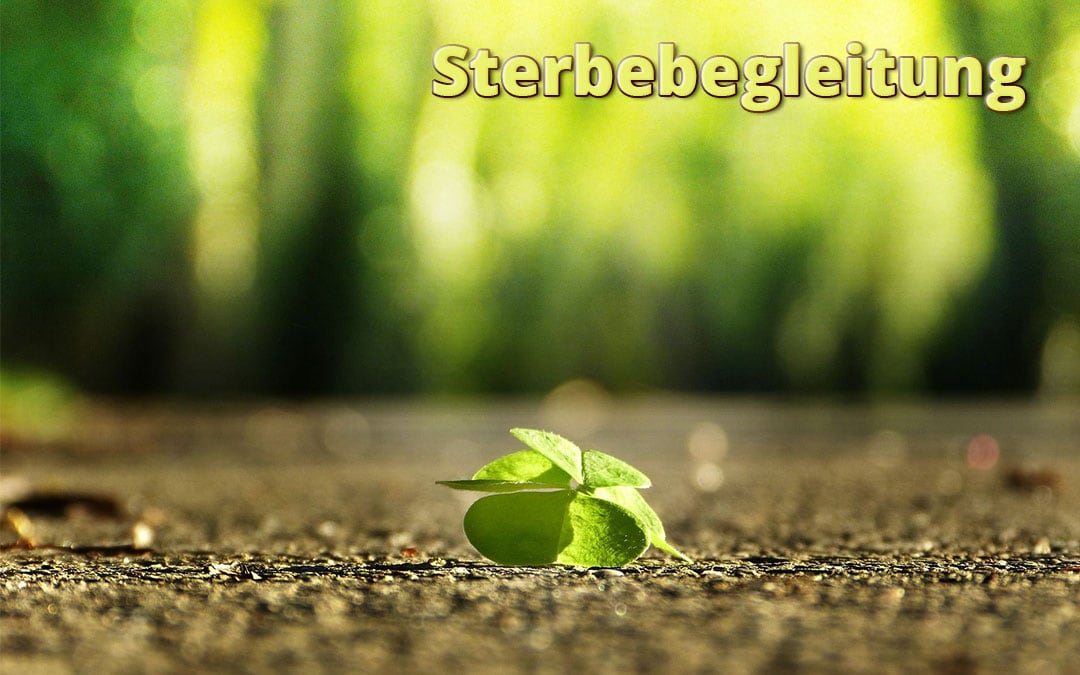 Sterbebegleitung